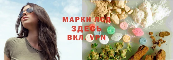 прущие грибы Армянск