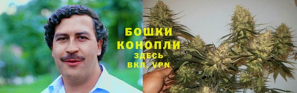 амф Аркадак