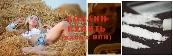 прущие грибы Армянск