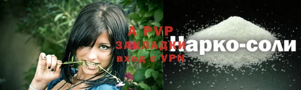 амф Аркадак