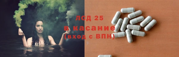 амф Аркадак