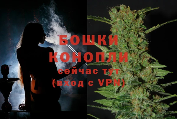 амф Аркадак
