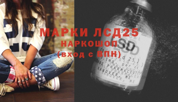 прущие грибы Армянск