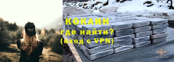 прущие грибы Армянск