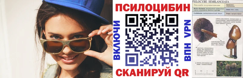 Галлюциногенные грибы Psilocybine cubensis Балашов